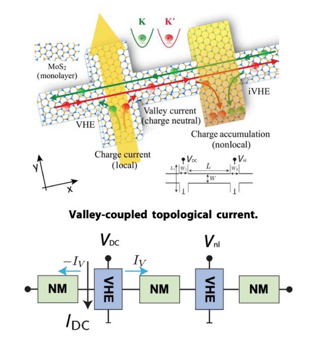 Beyond spin physics, spin-circuits capture mathematically similar phenomena such as valley transport